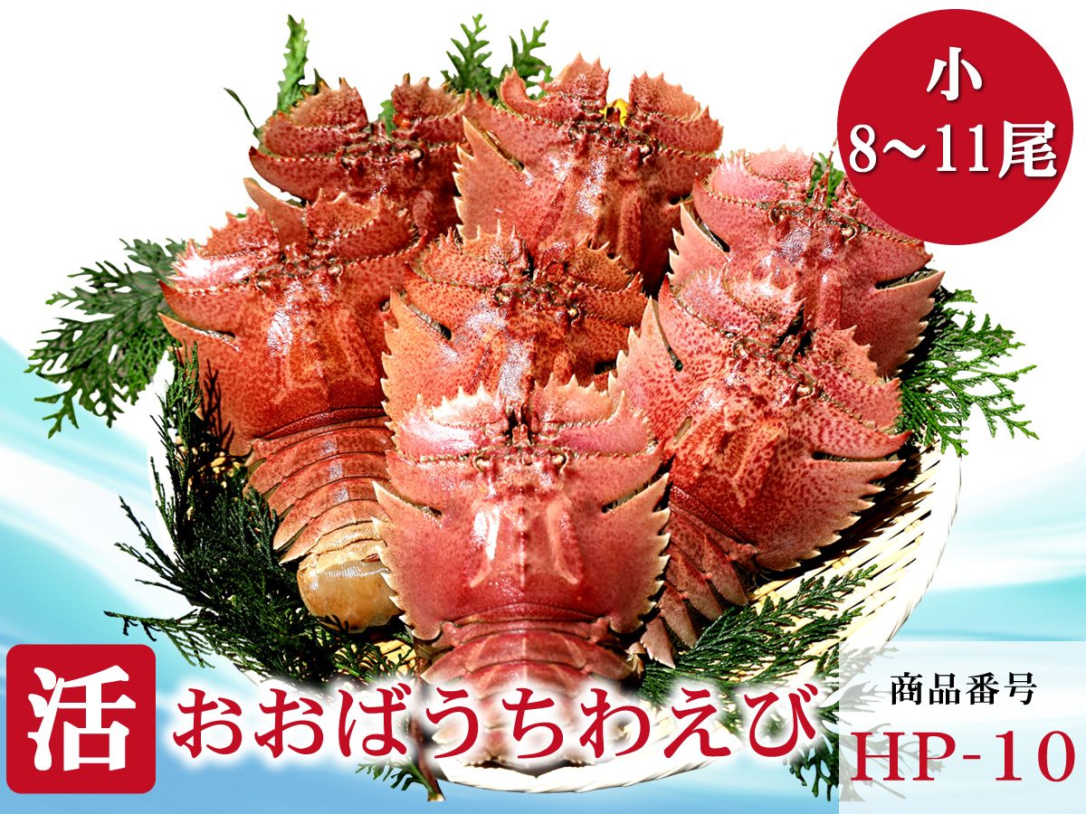 おおばうちわえび小バナー